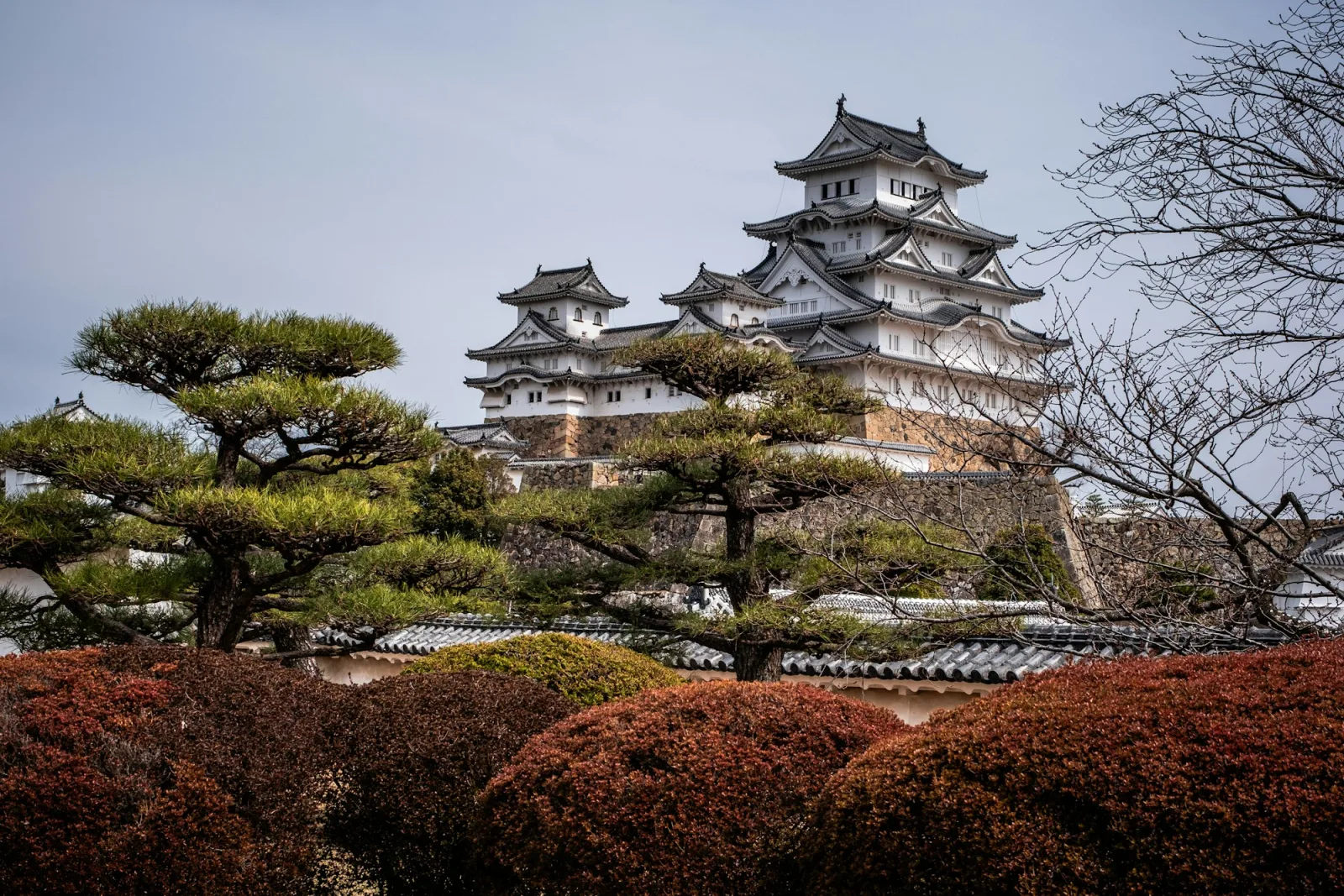 Himeji Castle's white main keep with its tiered grey roofs rising above stone walls, pine trees and clipped shrubs