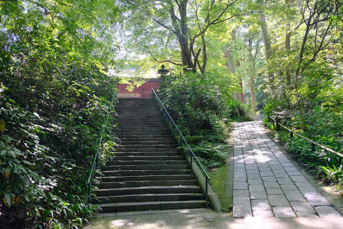 Wooden temple halls and a quiet approach path at Myohon-ji in Kamakura