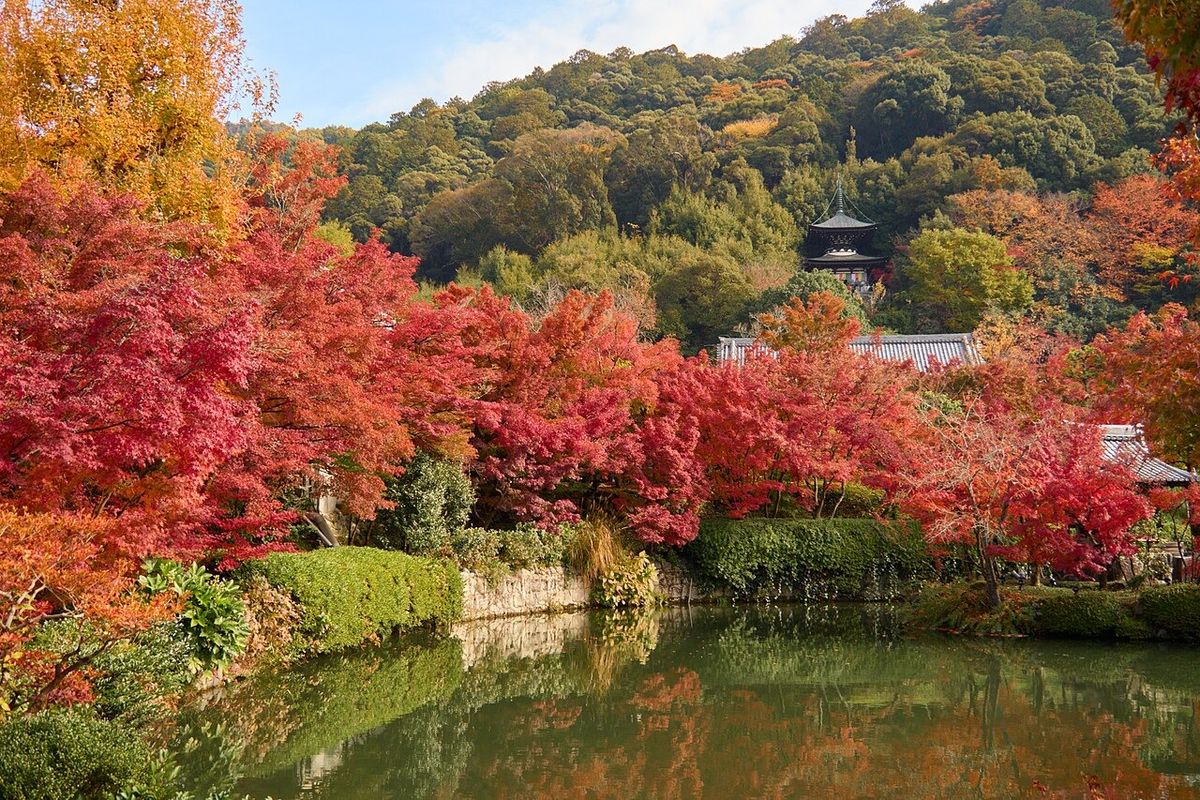 Japan in November 2026: weather, autumn leaves and holidays