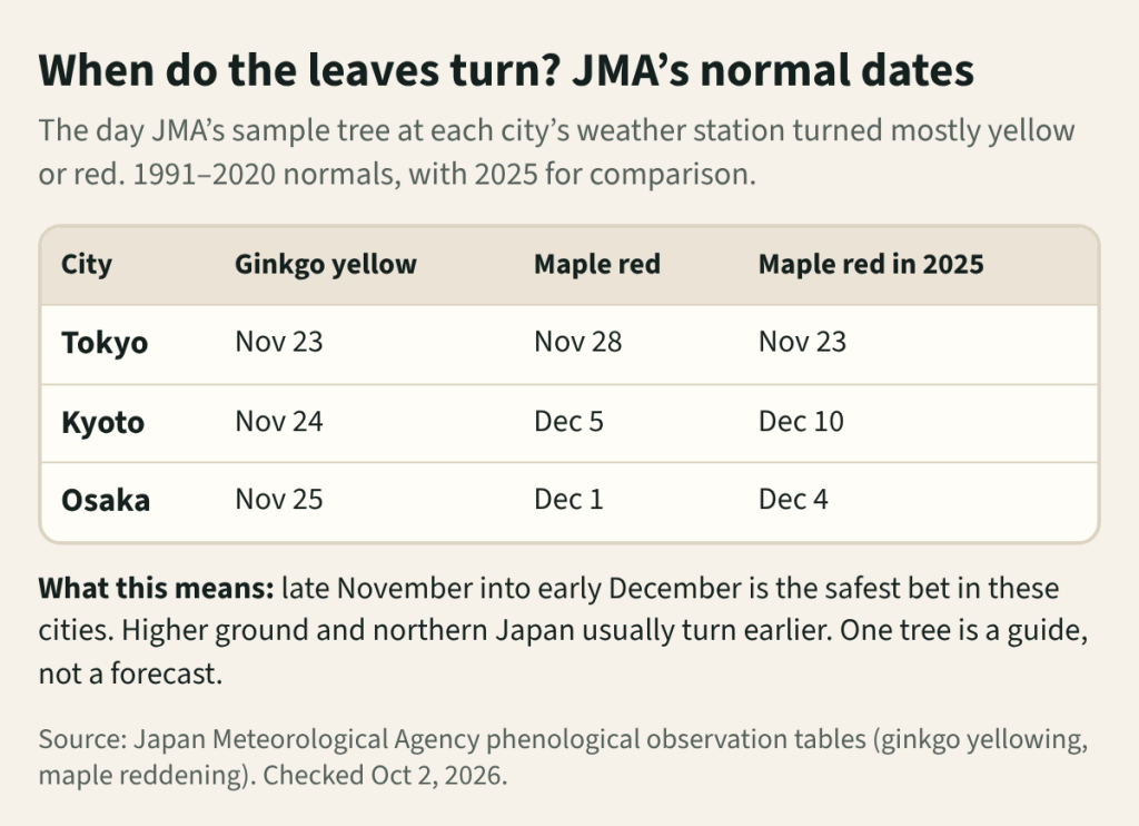 Table of JMA normal dates: ginkgo yellowing Tokyo Nov 23, Kyoto Nov 24, Osaka Nov 25; maple reddening Tokyo Nov 28, Kyoto Dec 5, Osaka Dec 1; in 2025 maples turned on Nov 23 in Tokyo, Dec 10 in Kyoto and Dec 4 in Osaka