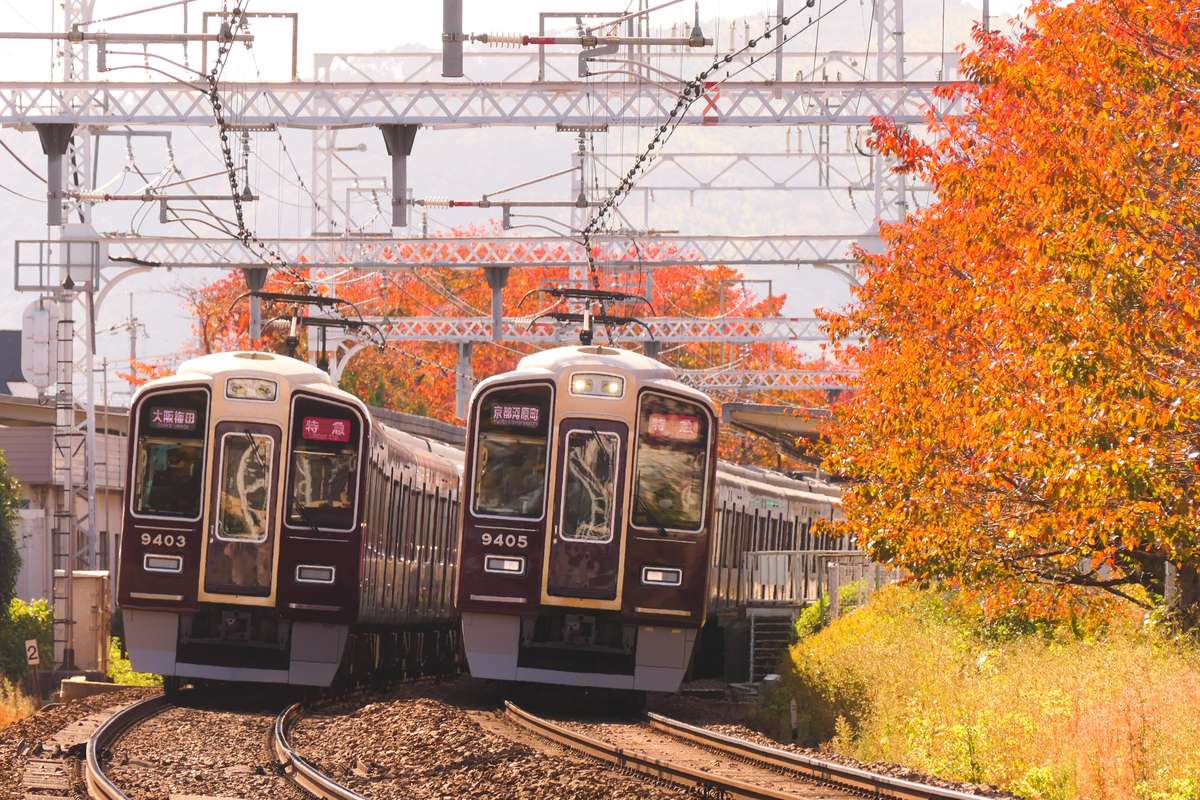 Two maroon Hankyu Kyoto Line trains passing each other beside trees with orange autumn leaves