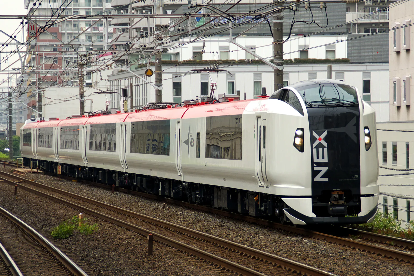 A white and red JR East E259 Narita Express train with the N'EX logo on its black front, running along a city rail line